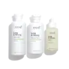 Scalp Revival Therapy Bundle