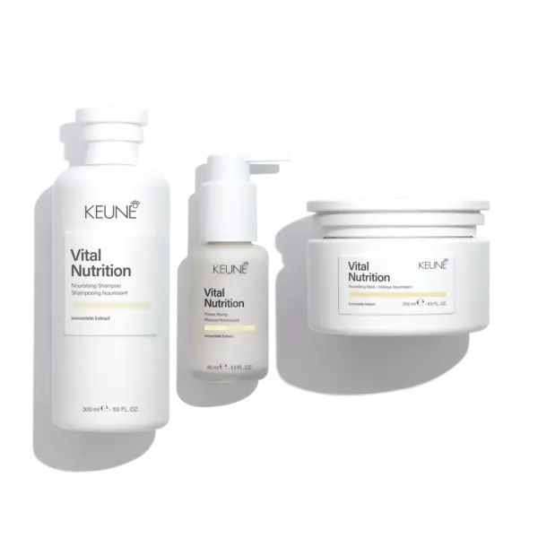 Paketa Rigjeneruese & Forcuese