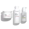 Anti-Frizz Treatment Bundle
